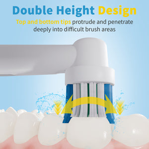 Premium Packaging：Replacement Toothbrush Head Compatible with Oral B Toothbrush